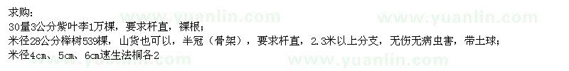 求購紫葉李,櫸樹,速生法桐,大葉女貞