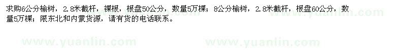 求購6、8公分榆樹10萬棵