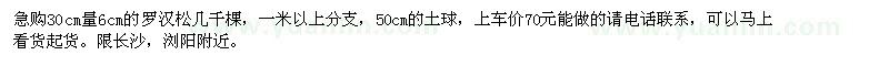求購6公分的羅漢松