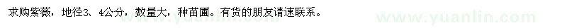 求購紫薇