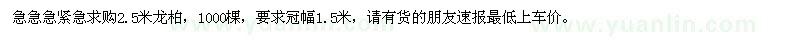 求購高2.5米龍柏1000棵