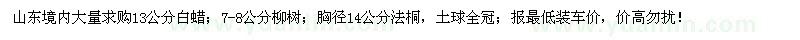 求購(gòu)白蠟、柳樹(shù)、法桐