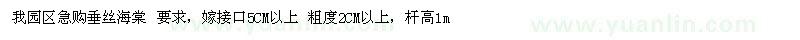 求購垂絲海棠