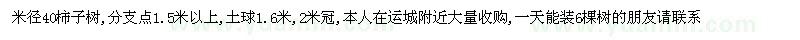 求購運城附近大量收購柿子樹
