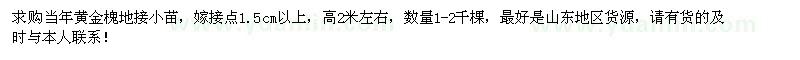 求購高2米左右黃金槐小苗1-2千棵