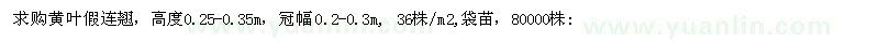 求購黃葉假連翹，高度0.25-0.35m