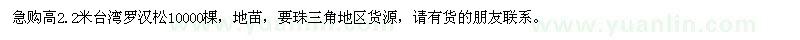 求購高2.2米臺(tái)灣羅漢松地苗10000棵