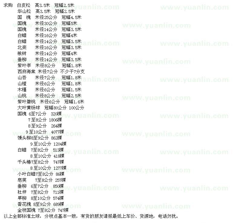 求購(gòu)白皮松、華山松、國(guó)槐、白蠟等苗木