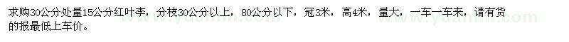 求購15公分紅葉李