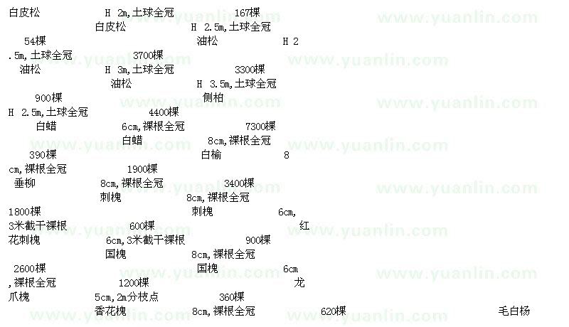 求購白皮松 