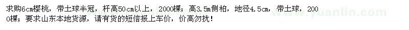 求購6公分櫻桃、地徑4.5公分側柏