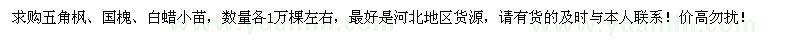 求購五角楓、國槐、白蠟小苗