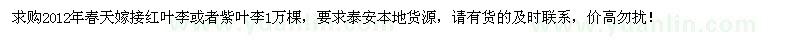 求購嫁接紅葉李或者紫葉李1萬棵