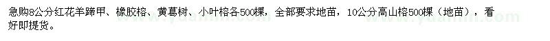 求購(gòu)急紅花羊蹄甲,橡膠榕,黃葛樹(shù),小葉榕,高山榕