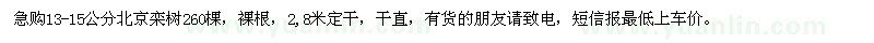 求購(gòu)13-15公分北京欒樹(shù)260棵