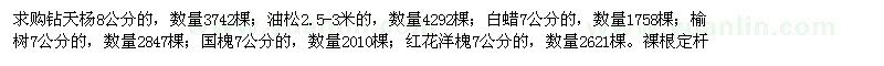 求購鉆天楊,白蠟,榆樹,國槐,紅花洋槐