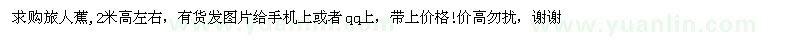 求購旅人蕉 2米高左右