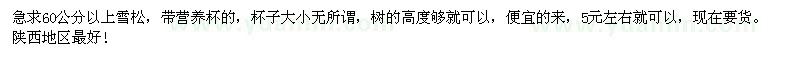 求購60公分以上雪松