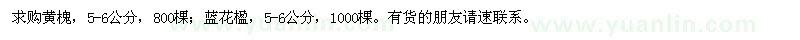 求購黃槐,藍花楹