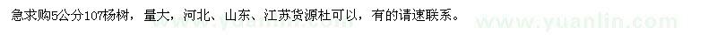 求購5公分107楊樹