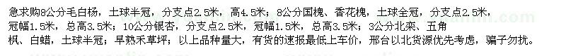 求購毛白楊、國槐、香花槐、銀杏、北欒等苗木
