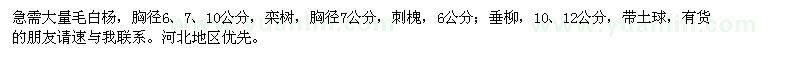 求購(gòu)毛白楊,欒樹(shù),刺槐,垂柳