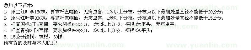 求購原生紅葉李、國槐、青柳、法桐