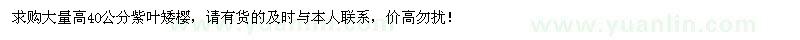 求購(gòu)大量高40公分紫葉矮櫻