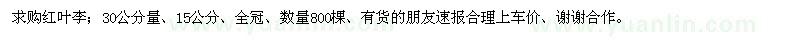 求購15公分紅葉李