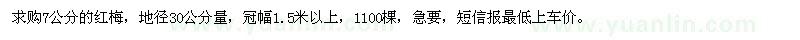 求購(gòu)7公分的紅梅