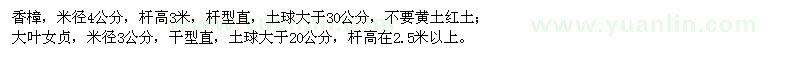 求購香樟,大葉女貞