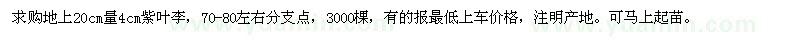 求購地上20cm量4cm紫葉李
