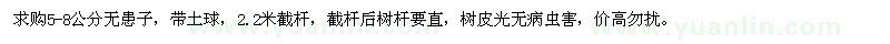 求購(gòu)5-8公分無(wú)患子
