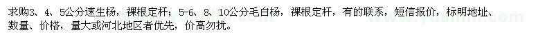 求購速生楊,毛白楊