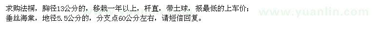 求購(gòu)法桐,垂絲海棠