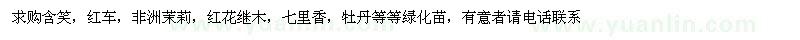 求購含笑 紅車 非洲茉莉 紅花繼木等綠化苗