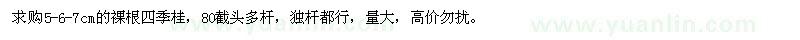 求購5-6-7cm的裸根四季桂