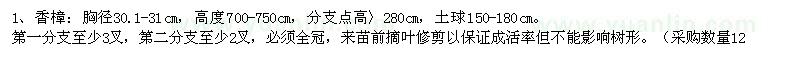 求購香樟