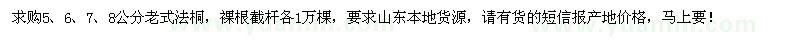 求購(gòu)5、6、7、8公分老式法桐各1萬(wàn)棵