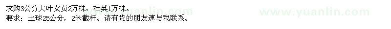 求購大葉女貞、杜英