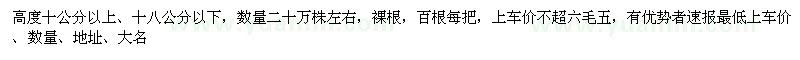 求購紅豆杉小苗