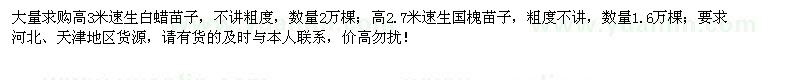 求購(gòu)速生白蠟、速生國(guó)槐苗