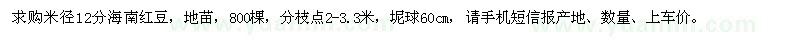 求購米徑12分海南紅豆
