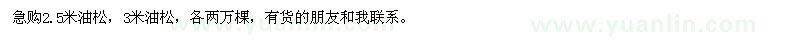 求購油松