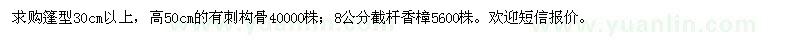 求購有刺構(gòu)骨,截桿香樟