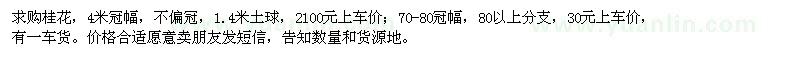 求購桂花