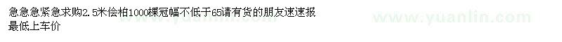 求購(gòu)2.5米儈柏1000棵