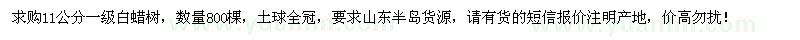 求購11公分一級白蠟樹800棵