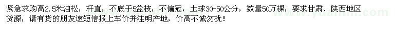 求購高2.5米油松50萬棵