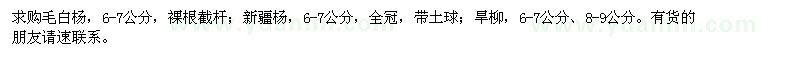 求購毛白楊,新疆楊,旱柳
